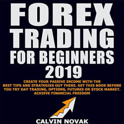 Lee Goettl Voice Your World Forex Trading for Beginners 2019
