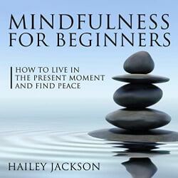 Lee Goettl Voice Your World Mindfulness for Beginners: How to Live in the Present Moment and Find Peace