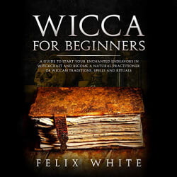 Lee Goettl Voice Your World Wicca for Beginners